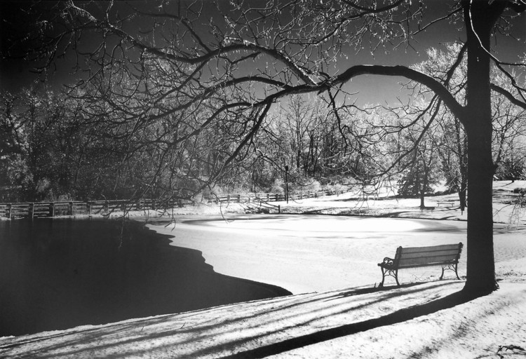 Kunstdruk Heritage Pond in Winter