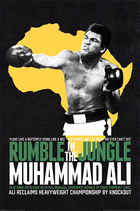 Plakát, Obraz - Muhammad Ali - Rumble in the Jungle, 61x91.5 cm