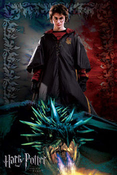 Plakat HARRY POTTER 4 - dragon