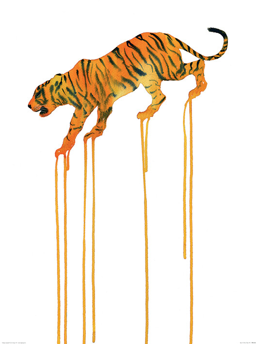 Druk artystyczny Oliver Fores - Tiger