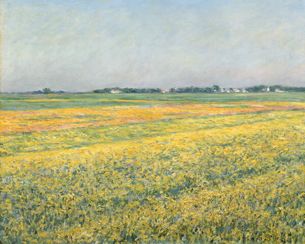 Levně Plakát, Obraz - The Plain of Gennevilliers, Yellow Fields; La plaine de Gennevilliers, champs jaunes, Caillebotte, Gustave, 40 × 30 cm