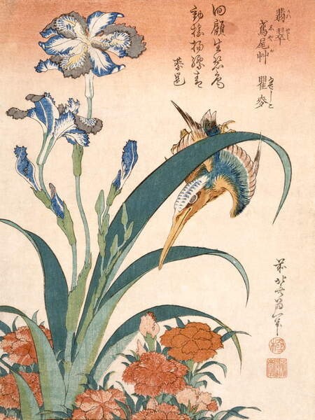 Obrazová reprodukce Kingfisher, Hokusai, Katsushika, 30x40 cm