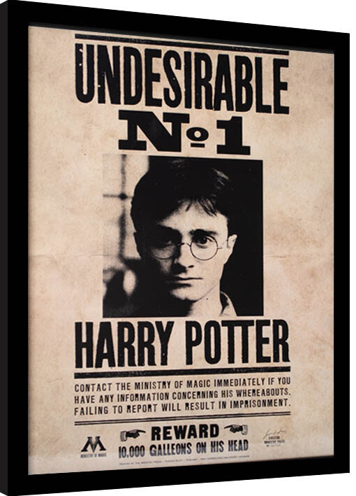 Obraz na zeď - Harry Potter - Undesirable N.1, 34.5x44.3 cm