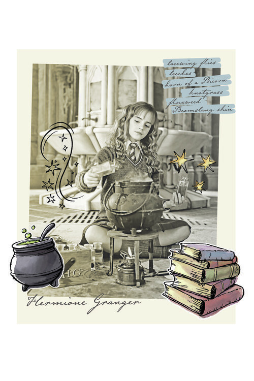 Umělecký tisk Harry Potter - Hermiona Grangerová, (26.7 x 40 cm)