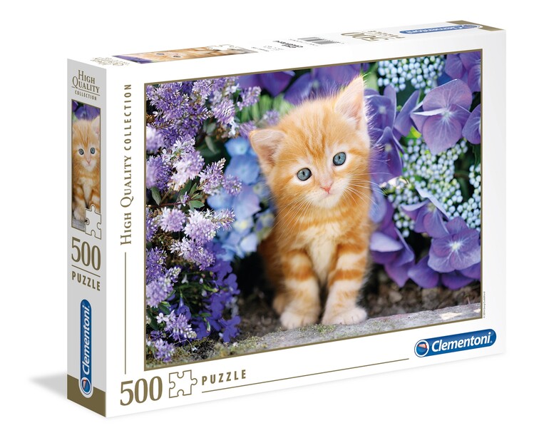 Puzzle Ginger Cat