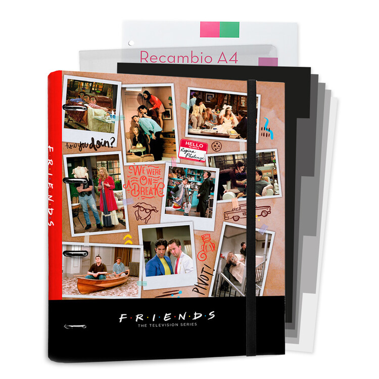 Organiseur de Fichiers Friends