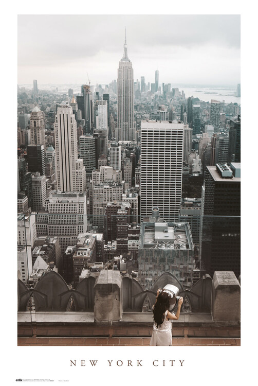 Plakát, Obraz - New York City Views, (61 x 91.5 cm)