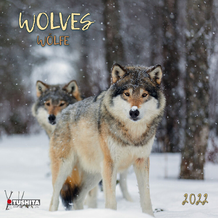 Kalender 2027 Wolves