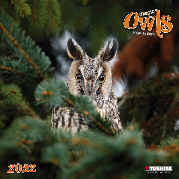 Kalender 2027 Magic Owls