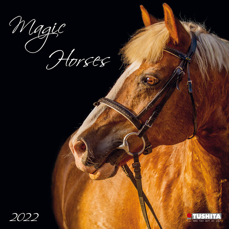 Kalender 2027 Magic Horses