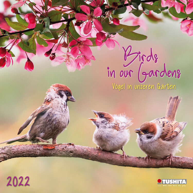 Kalendář 2027 Ptáci