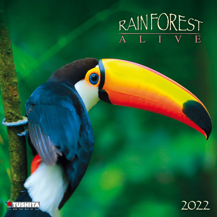 Kalender 2027 Rainforest Alive