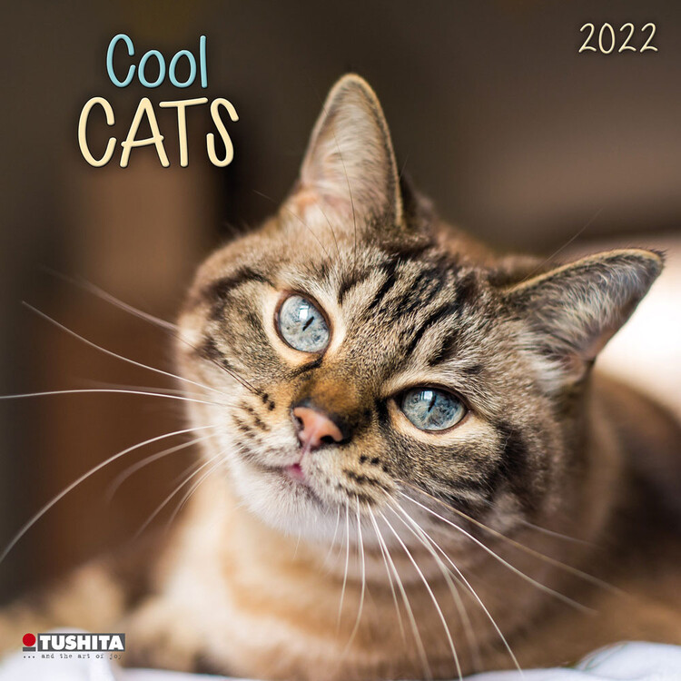 Calendrier 2027 Cool Cats