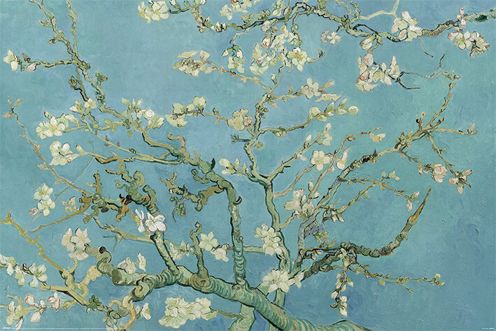 Plakát Vincent van Gogh - Květoucí větve mandlovníku