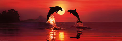 Poster CHRISTIAN R.LASSEN - dolphin dawn