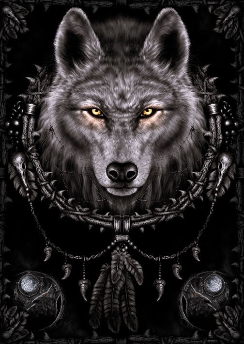 Plakát, Obraz - vlk, 61x91.5 cm
