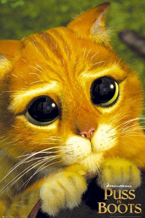 Poster PUSS IN BOOTS - cats eye