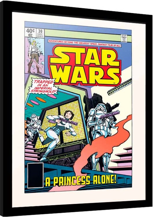 Indrammet plakat Star Wars - Princess Alone