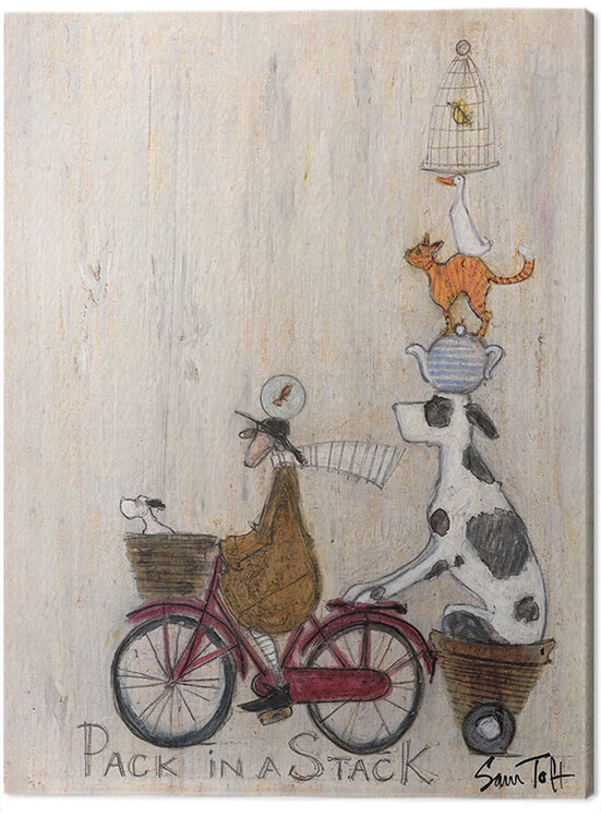 Obraz na plátně Sam Toft - Pack in a Stack