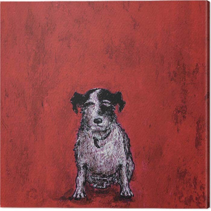 Obraz na plátně Sam Toft - Small Dog, - 40x40 cm
