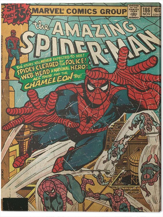 Obraz na płótnie Spider-Man - Chameleon