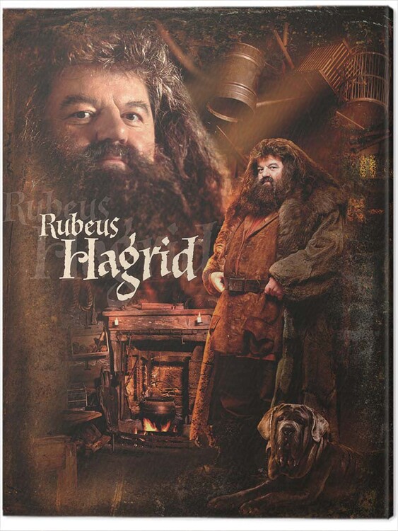 Obraz na plátně Harry Potter - Hagrid