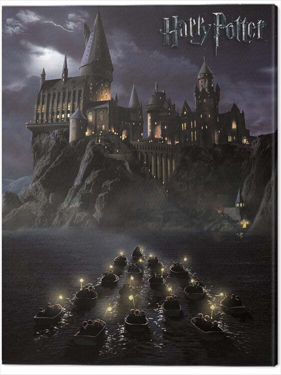 Obraz na plátně Harry Potter - Hogwarts School