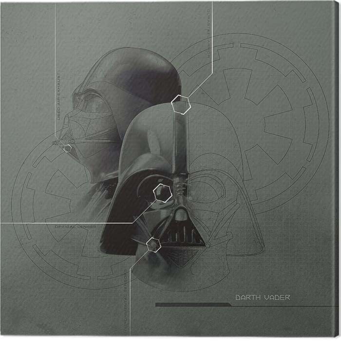 Bilde på lerret Star Wars - Darth Vader Diagram