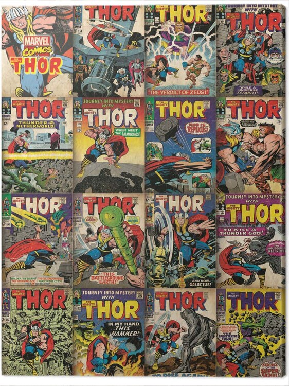 Billede på lærred Thor - Covers