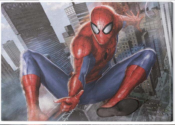 Obraz na plátně Spider-Man - In Action, 2 cm - 80×60 cm