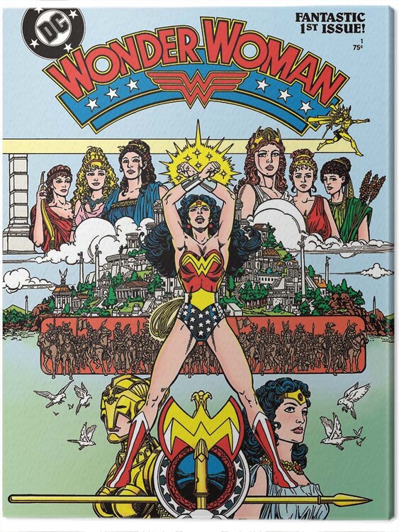 Obraz na płótnie Wonder Woman - Fantastic