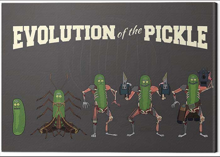 Obraz na płótnie Rick and Morty - Evolution of the Pickle
