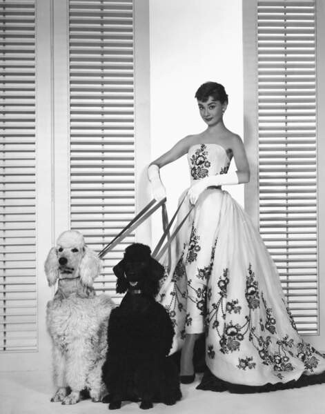 Fotografie Audrey Hepburn, 30x40 cm