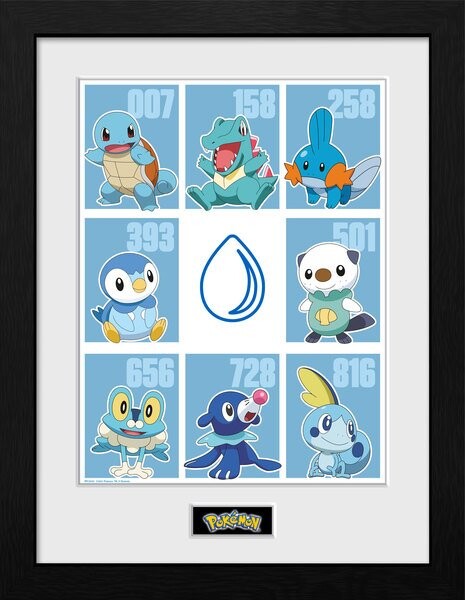 Gerahmte Poster Pokemon - First Partner Water