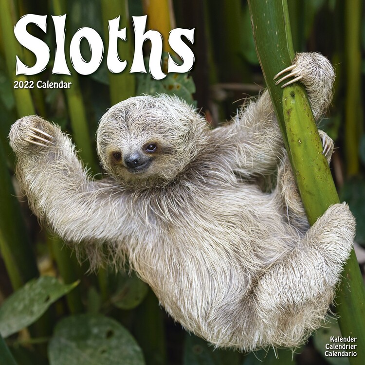 Calendario 2027 Sloths