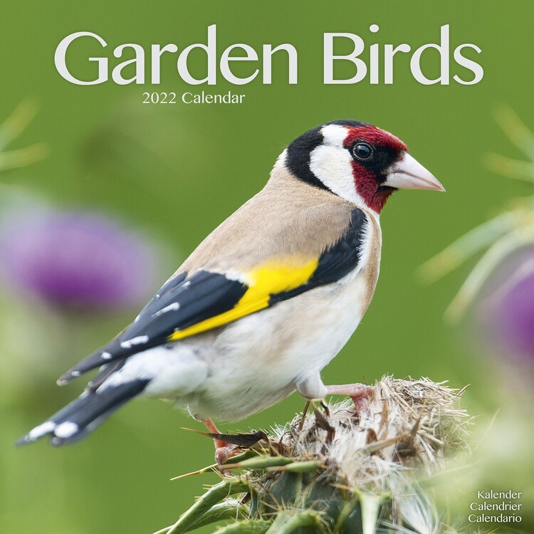 Calendario 2027 Garden Birds