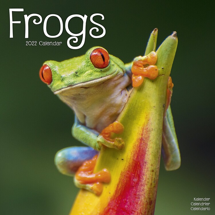 Calendario 2027 Frogs