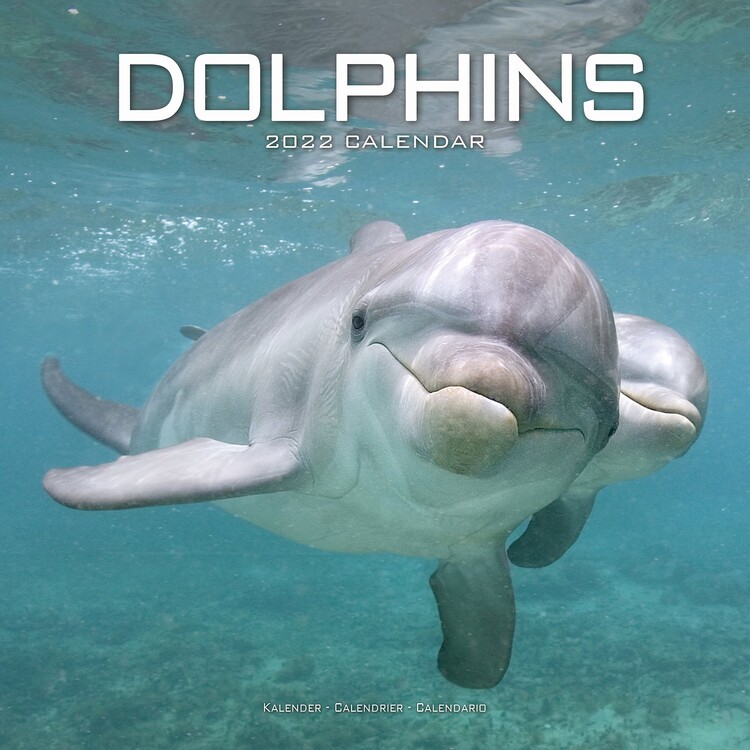 Calendario 2027 Dolphins
