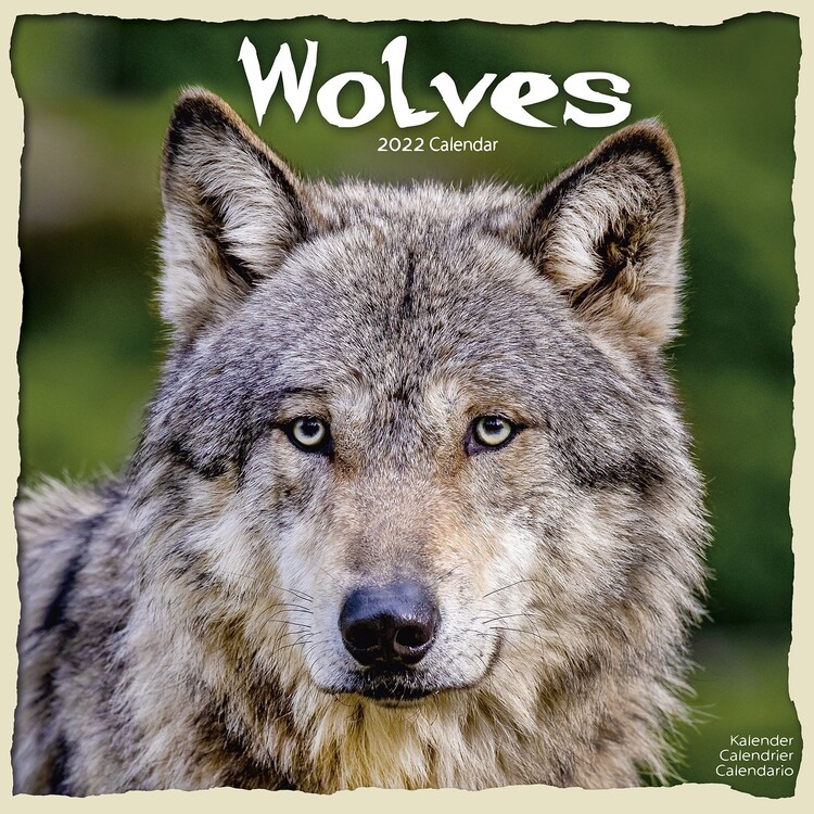 Calendario 2027 Wolves