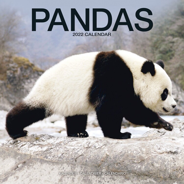 Calendario 2027 Pandas