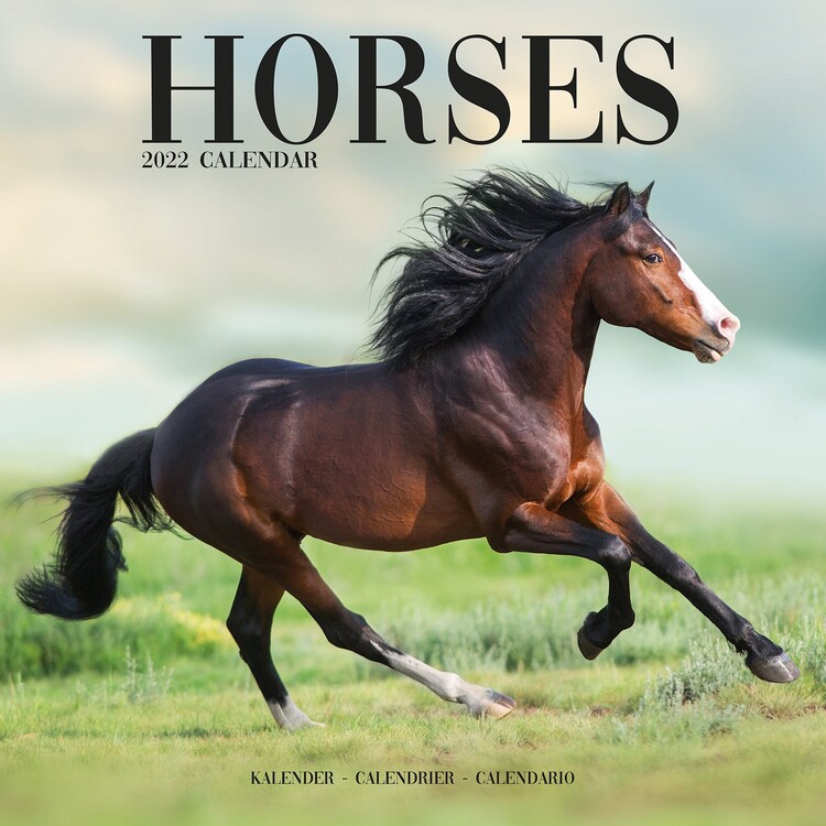 Calendario 2027 Horses