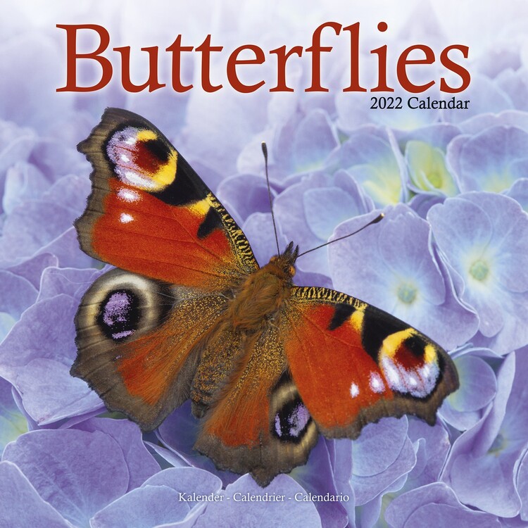 Calendario 2027 Butterflies