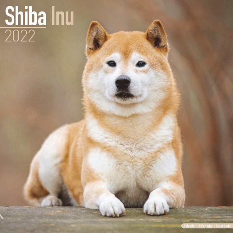 Calendario 2027 Shiba Inu