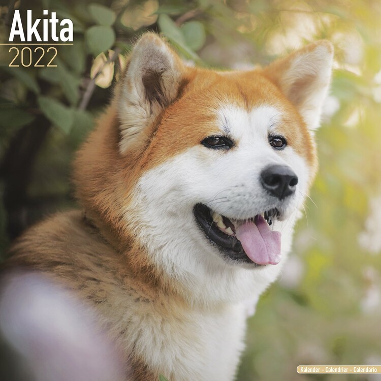 Naptár 2027 Akita