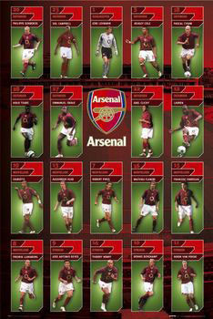 Poster Arsenal - squad profiles 05/06