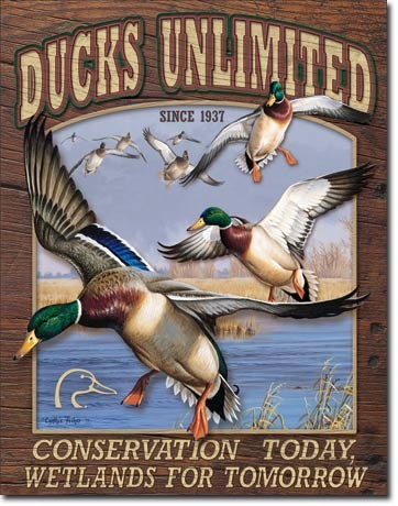 Metallschild DUCK UNLIMITED - conservation today