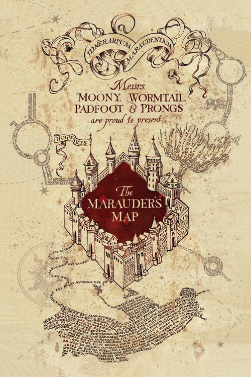 Umělecký tisk Harry Potter - Pobertův plánek, 26.7x40 cm
