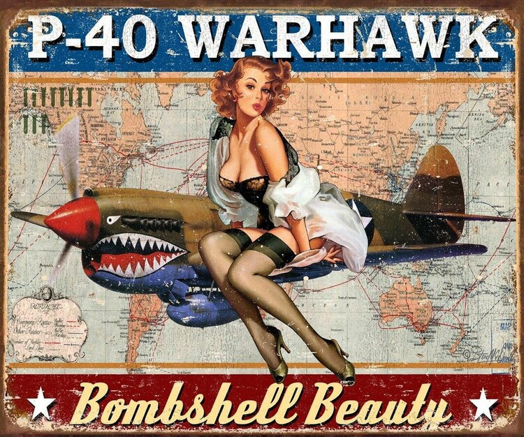 Metallschild P-40 Warhawk
