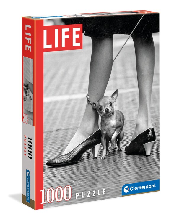 Levně Puzzle Chihuahua, 1000 ks