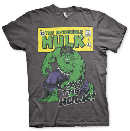 Camiseta Hulk - I Am The Hulk